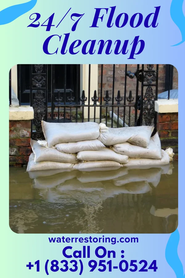 24/7 Flood Cleanup in Millville, MN
