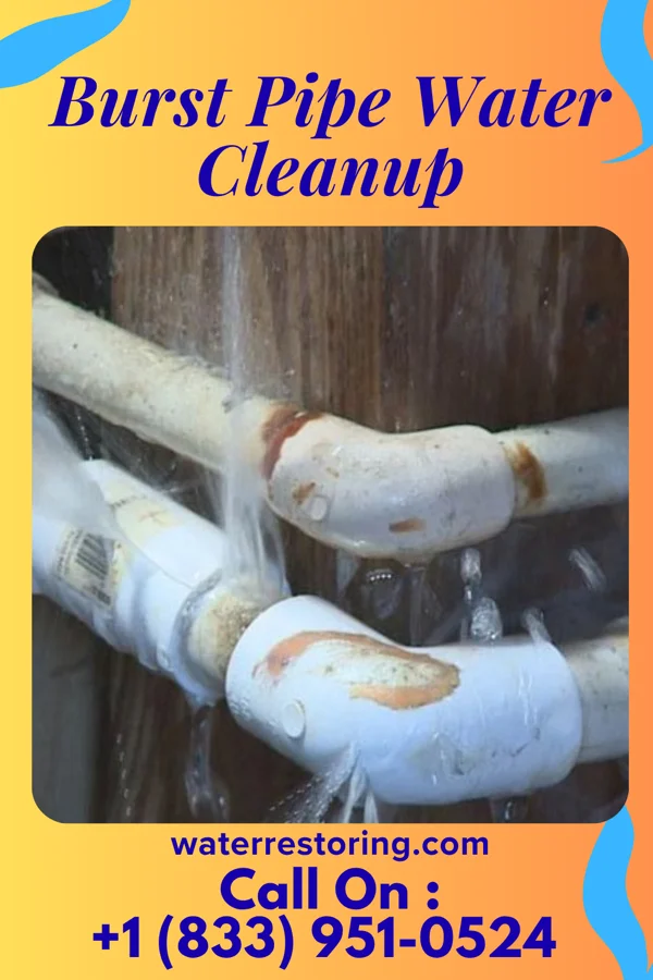 Burst Pipe Water Cleanup in Millville, MN