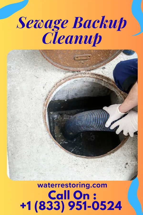 Sewage Backup Cleanup in Millville, MN