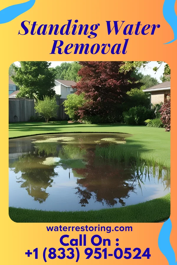 Standing Water Removal in Millville, MN